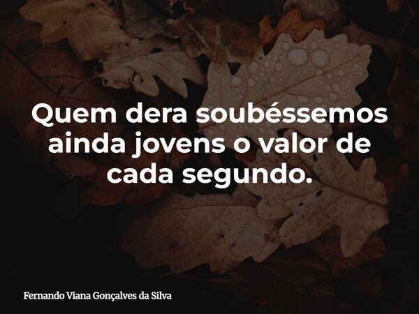Quem dera soubéssemos ainda jovens o valor de cada segundo.... Frase de Fernando Viana Gonçalves da Silva.