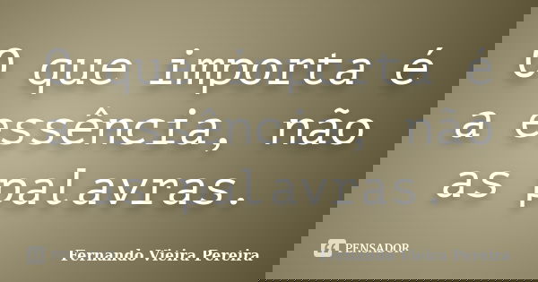 O que importa é a essência, não as palavras.... Frase de Fernando Vieira Pereira.