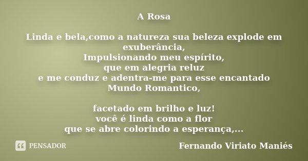 A Rosa Linda e bela,como a natureza sua beleza explode em exuberância, Impulsionando meu espírito, que em alegria reluz e me conduz e adentra-me para esse encan... Frase de Fernando Viriato Maniés.