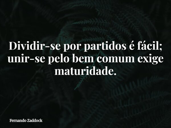 Dividir-se por partidos é fácil; unir-se pelo bem comum exige maturidade.... Frase de Fernando Zaddock.