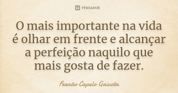 O mais importante na vida é olhar em frente e alcançar a perfeição naquilo que mais gosta de fazer.... Frase de Fernão Capelo Gaivota.