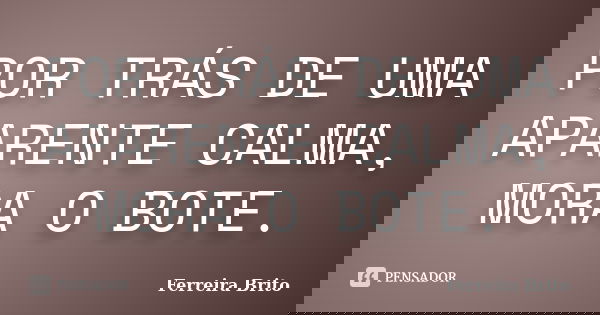 POR TRÁS DE UMA APARENTE CALMA, MORA O BOTE.... Frase de Ferreira Brito.