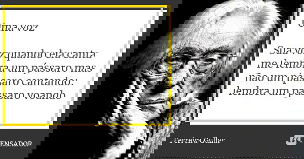 Uma voz Sua voz quando ela canta me lembra um pássaro mas não um pássaro cantando: lembra um pássaro voando... Frase de Ferreira Gullar.
