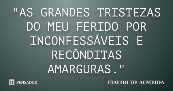 "AS GRANDES TRISTEZAS DO MEU FERIDO POR INCONFESSÁVEIS E RECÔNDITAS AMARGURAS."... Frase de FIALHO DE ALMEIDA.