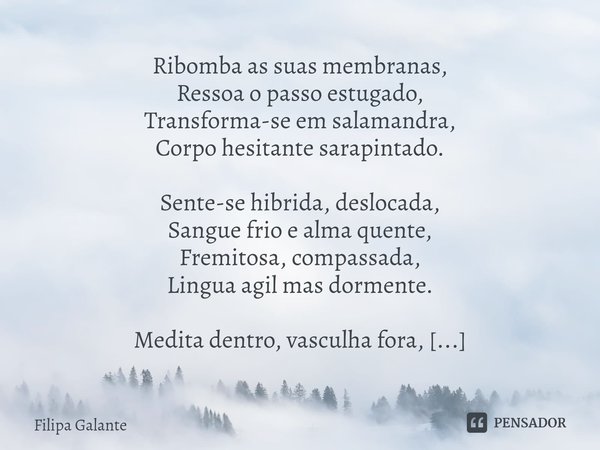 ⁠MALCASSANDRA Ribomba as suas membranas,
Ressoa o passo estugado,
Transforma-se em salamandra,
Corpo hesitante sarapintado. Sente-se hibrida, deslocada,
Sangue ... Frase de Filipa Galante.