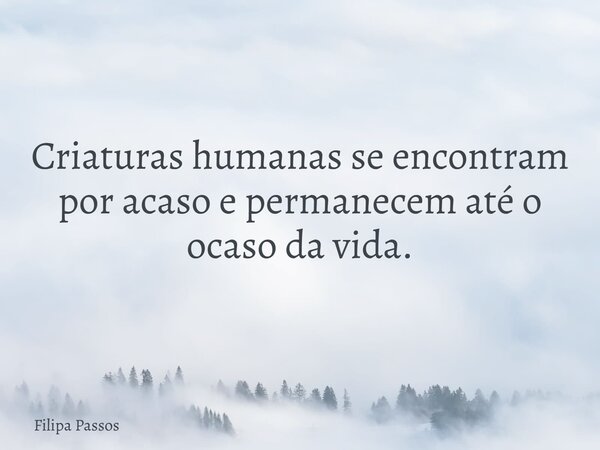Criaturas humanas se encontram por acaso e permanecem até o ocaso da vida.... Frase de Filipa Passos.