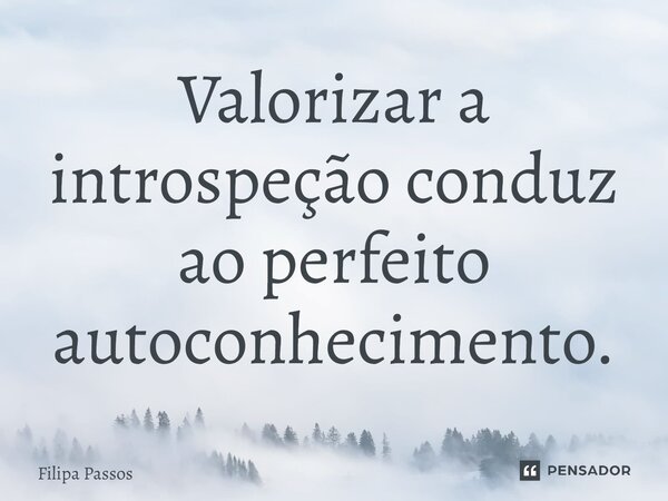 ⁠Valorizar a introspeção conduz ao perfeito autoconhecimento.... Frase de Filipa Passos.