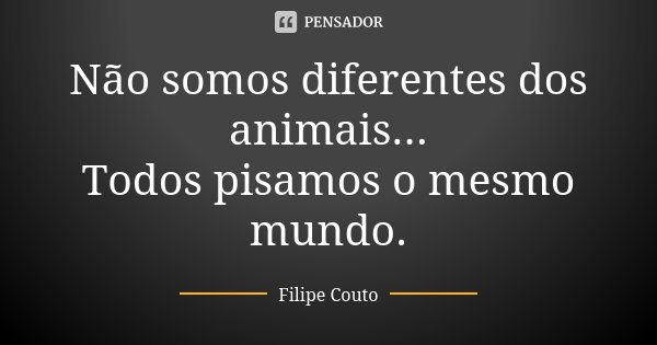 Não somos diferentes dos animais... Todos pisamos o mesmo mundo.... Frase de Filipe Couto.