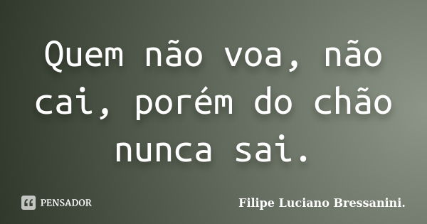 Quem não voa, não cai, porém do chão nunca sai.... Frase de Filipe Luciano Bressanini.