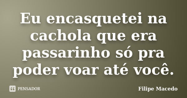 Eu encasquetei na cachola que era passarinho só pra poder voar até você.... Frase de Filipe Macedo.