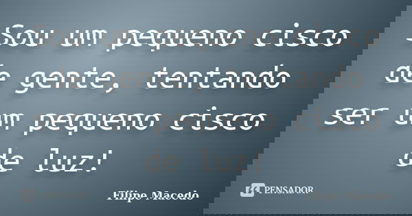 Sou um pequeno cisco de gente, tentando ser um pequeno cisco de luz!... Frase de Filipe Macedo.