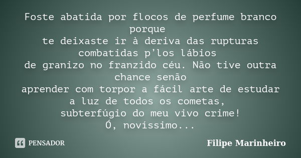 Foste abatida por flocos de perfume branco porque te deixaste ir à deriva das rupturas combatidas p’los lábios de granizo no franzido céu. Não tive outra chance... Frase de Filipe Marinheiro.