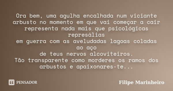 Ora bem, uma agulha encalhada num viciante arbusto no momento em que vai começar a cair representa nada mais que psicológicas represálias em guerra com as avelu... Frase de Filipe Marinheiro.