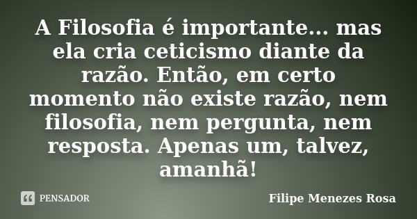 A Filosofia é importante... mas ela cria ceticismo diante da razão. Então, em certo momento não existe razão, nem filosofia, nem pergunta, nem resposta. Apenas ... Frase de Filipe Menezes Rosa.