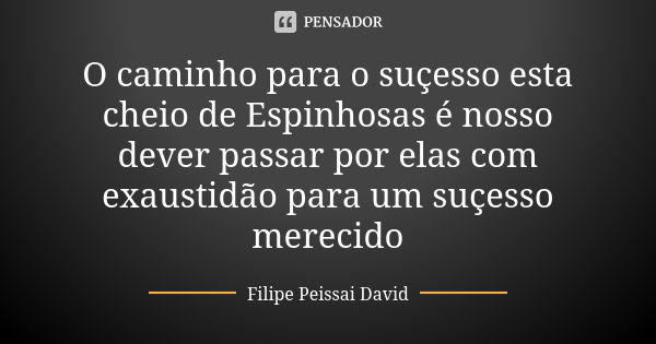 O caminho para o suçesso esta cheio de Espinhosas é nosso dever passar por elas com exaustidão para um suçesso merecido... Frase de filipe peissai david.