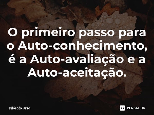 ⁠O primeiro passo para o Auto-conhecimento, é a Auto-avaliação e a Auto-aceitação⁠.... Frase de Filósofo Urso.