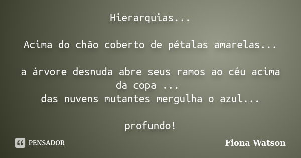 Hierarquias... Acima do chão coberto de pétalas amarelas... a árvore desnuda abre seus ramos ao céu acima da copa ... das nuvens mutantes mergulha o azul... pro... Frase de Fiona Watson.