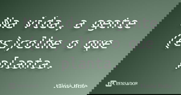 Na vida, a gente (es)colhe o que planta.... Frase de Flávia Brito.