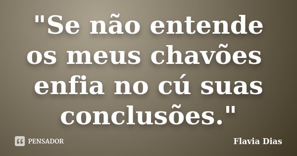 "Se não entende os meus chavões enfia no cú suas conclusões."... Frase de Flavia Dias.