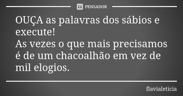 OUÇA as palavras dos sábios e execute! As vezes o que mais precisamos é de um chacoalhão em vez de mil elogios.... Frase de FlaviaLeticia.