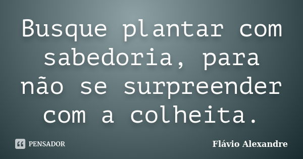 Busque plantar com sabedoria, para não se surpreender com a colheita.... Frase de Flávio Alexandre.