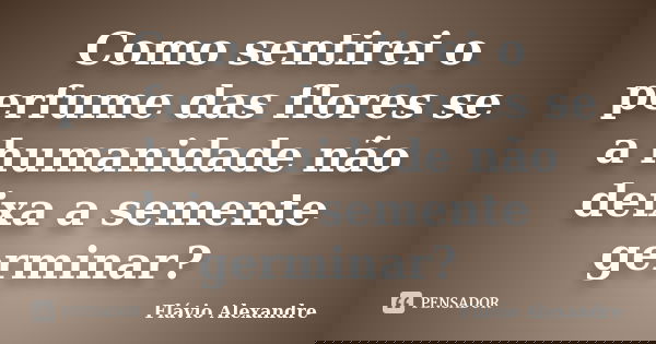 Como sentirei o perfume das flores se a humanidade não deixa a semente germinar?... Frase de Flávio Alexandre.