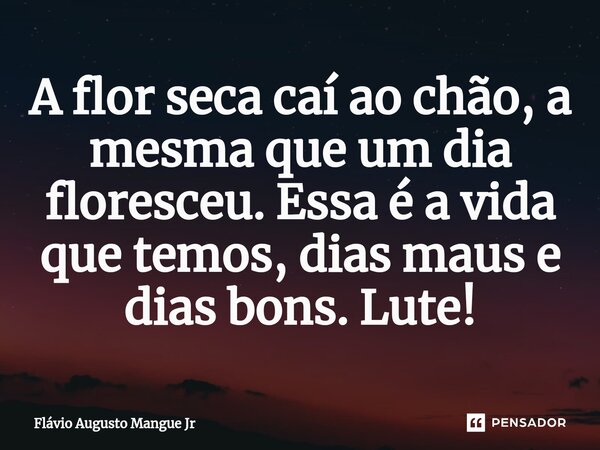 ⁠A flor seca caí ao chão, a mesma que um dia floresceu. Essa é a vida que temos, dias maus e dias bons. Lute!... Frase de Flávio Augusto Mangue Jr.