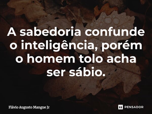 ⁠A sabedoria confunde o inteligência, porém o homem tolo acha ser sábio.... Frase de Flávio Augusto Mangue Jr.