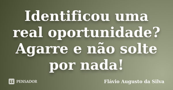 Identificou uma real oportunidade? Agarre e não solte por nada!... Frase de Flávio Augusto da Silva.