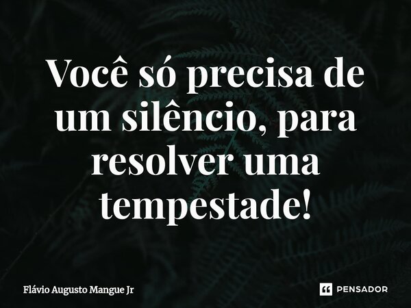 ⁠Você só precisa de um silêncio, para resolver uma tempestade!... Frase de Flávio Augusto Mangue Jr.