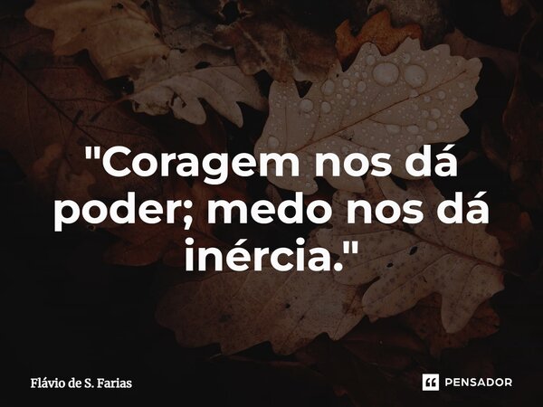 "Coragem nos dá poder; medo nos dá inércia."... Frase de Flávio de S. Farias.