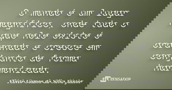 O mundo é um lugar magnífico, onde tudo o que nele existe é ordenado e cresce em conjunto de forma harmonizada.... Frase de Flávio Gomes da Silva Júnior.