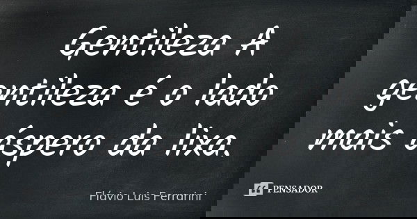 Gentileza A gentileza é o lado mais áspero da lixa.... Frase de Flávio Luis Ferrarini.