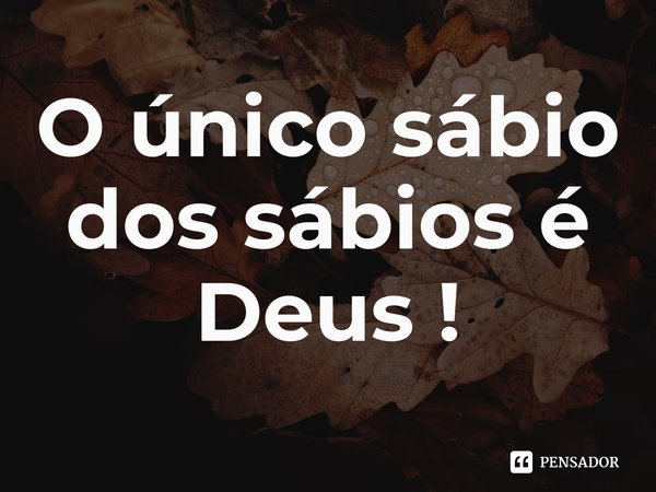 ⁠O único sábio dos sábios é Deus !... Frase de Flávio Mendes.