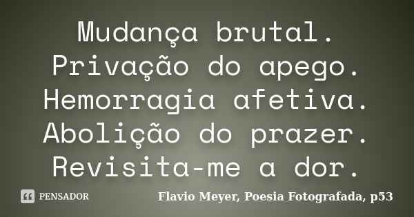 Mudança brutal. Privação do apego. Hemorragia afetiva. Abolição do prazer. Revisita-me a dor.... Frase de Flavio Meyer, Poesia Fotografada, p53.