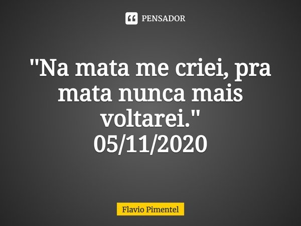 ⁠''Na mata me criei, pra mata nunca mais voltarei.''
05/11/2020... Frase de Flávio Pimentel.