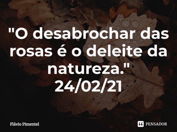 ⁠"O desabrochar das rosas é o deleite da natureza."
24/02/21... Frase de Flávio Pimentel.