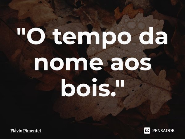 ⁠"O tempo da nome aos bois."... Frase de Flávio Pimentel.