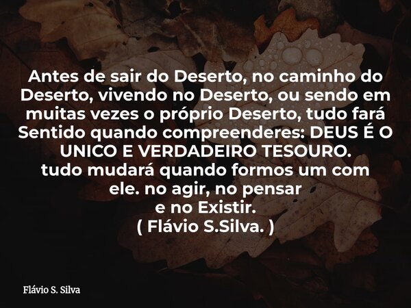 Antes de sair do Deserto, no caminho do Deserto, vivendo no Deserto, ou sendo em muitas vezes o próprio Deserto, tudo fará Sentido quando compreenderes: DEUS É ... Frase de Flávio S. Silva.