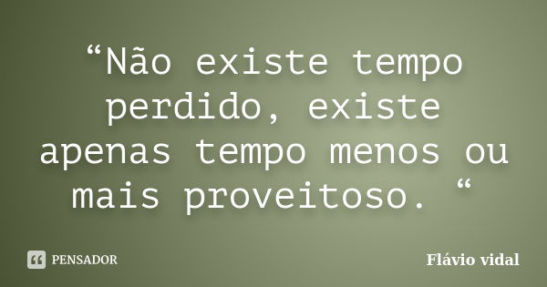 “Não existe tempo perdido, existe apenas tempo menos ou mais proveitoso. “... Frase de Flávio Vidal.