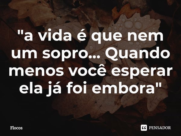 ⁠"a vida é que nem um sopro... Quando menos você esperar ela já foi embora"... Frase de Flocos.