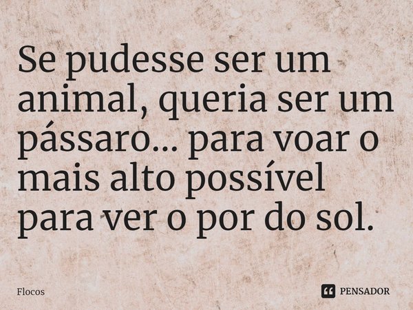 Se pudesse ser um animal, queria ser um pássaro... para voar o mais alto possível para ver o pôr do sol.... Frase de Flocos.