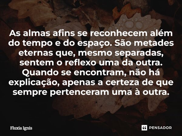 As almas afins se reconhecem além do tempo e do espaço. São metades eternas que, mesmo separadas, sentem o reflexo uma da outra. Quando se encontram, não há ex... Frase de Fluxia Ignis.