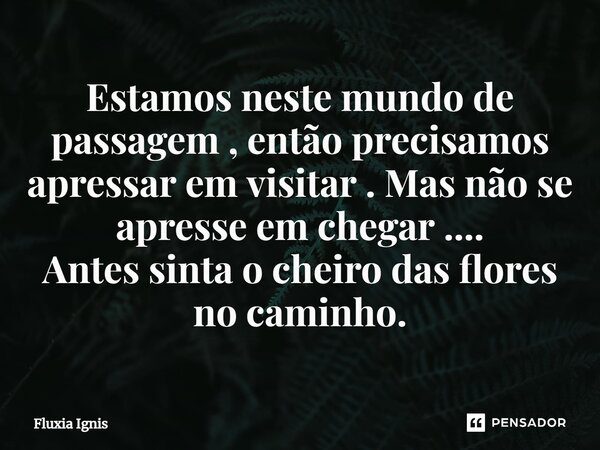 ⁠⁠Estamos de passagem por este mundo, então precisamos nos apressar para visitar. Mas não se apresse para chegar... Antes, sinta o aroma das flores pelo caminho... Frase de Fluxia Ignis.