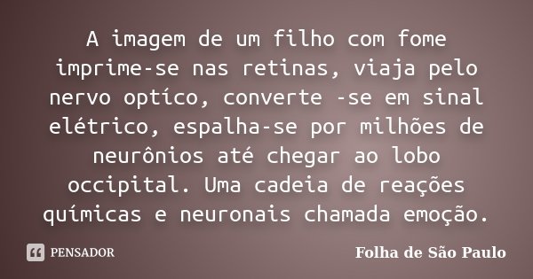 A imagem de um filho com fome imprime-se nas retinas, viaja pelo nervo optíco, converte -se em sinal elétrico, espalha-se por milhões de neurônios até chegar ao... Frase de Folha de São Paulo.