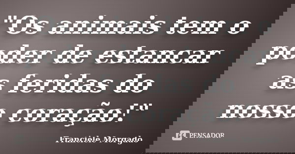 "Os animais tem o poder de estancar as feridas do nosso coração!"... Frase de Franciele Morgado.
