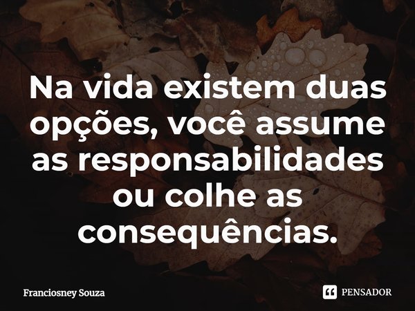 ⁠⁠Na vida existem duas opções, você assume as responsabilidades ou colhe as consequências.... Frase de Franciosney Souza.