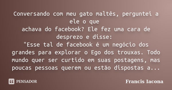 Conversando com meu gato maltês, perguntei a ele o que achava do facebook? Ele fez uma cara de desprezo e disse: "Esse tal de facebook é um negócio dos gra... Frase de Francis Iacona.