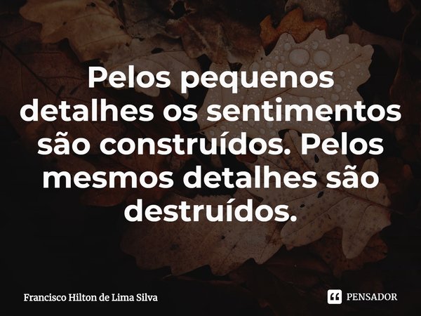 ⁠Pelos pequenos detalhes os sentimentos são construídos. Pelos mesmos detalhes são destruídos.... Frase de Francisco Hilton de Lima Silva.