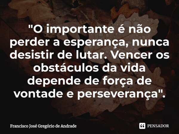 ⁠"O importante é não perder a esperança, nunca desistir de lutar. Vencer os obstáculos da vida depende de força de vontade e perseverança ".... Frase de Francisco José Gregório de Andrade.